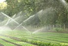 Conoblelandscaping-water-management-and-drainage-17.jpg; ?>