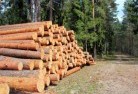 Conobletree-felling-services-31.jpg; ?>